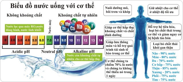 Biểu đồ nước uống với cơ thể con người